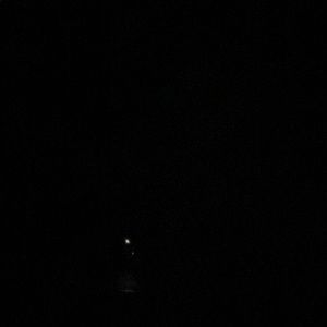 Meet your Posher, George